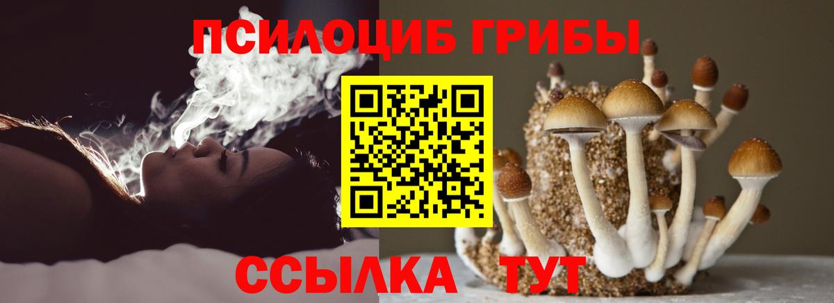 Галлюциногенные грибы ЛСД Чернушка